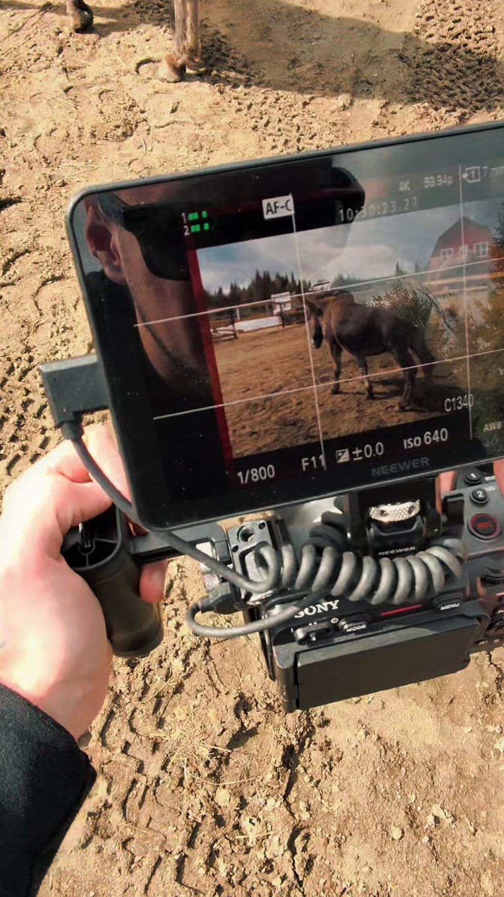 Moniteur de tournage sur rig Sony cadrant un cheval dans un enclos